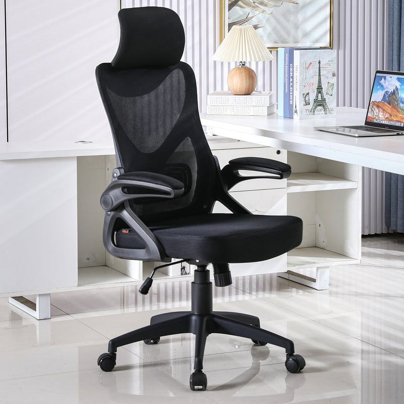 Ashendon Ergonomic Mesh Task Chair